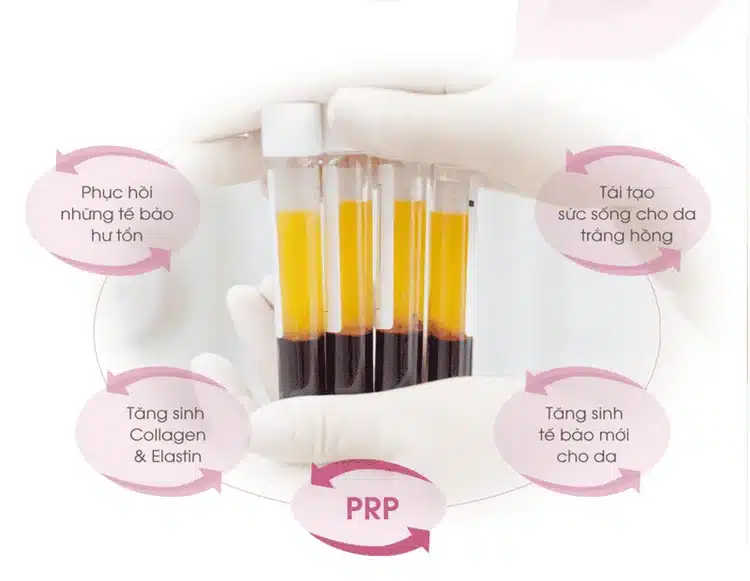 PRP giúp khôi phục và trẻ hóa các tế bào tổn thương, kích thích sản sinh tế bào mới