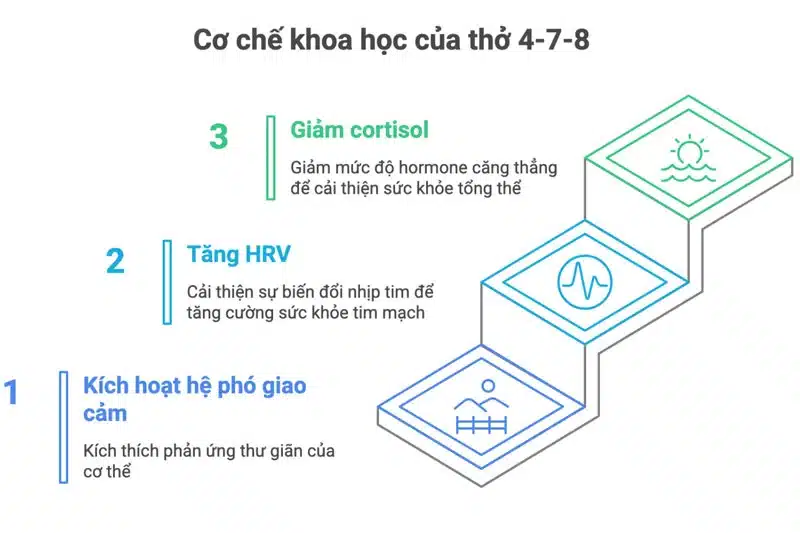 Phương pháp thở 4-7-8 cải thiện giấc ngủ sâu, giúp làn da nghỉ ngơi và tái tạo tế bào mới